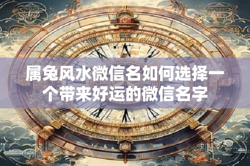 属兔风水微信名如何选择一个带来好运的微信名字