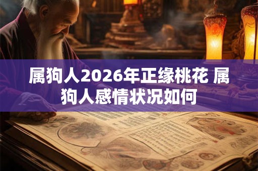 属狗人2026年正缘桃花 属狗人感情状况如何