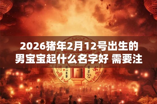 2026猪年2月12号出生的男宝宝起什么名字好 需要注意什么