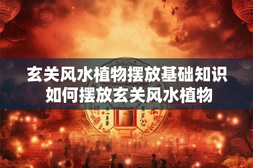 玄关风水植物摆放基础知识 如何摆放玄关风水植物 玄关风水植物摆放基础知识 如何摆放玄关风水植物