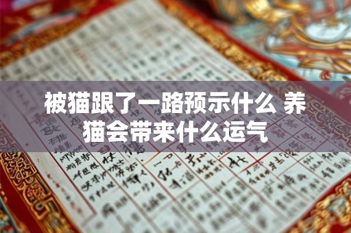 被猫跟了一路预示什么 养猫会带来什么运气