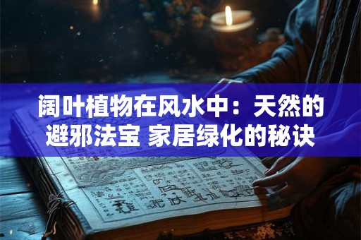 阔叶植物在风水中：天然的避邪法宝 家居绿化的秘诀