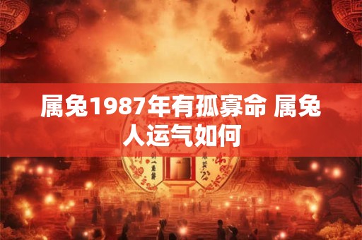 属兔1987年有孤寡命 属兔人运气如何 属兔1987年有孤寡命 属兔人运气如何