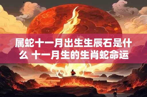属蛇十一月出生生辰石是什么 十一月生的生肖蛇命运