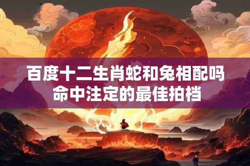 百度十二生肖蛇和兔相配吗 命中注定的最佳拍档