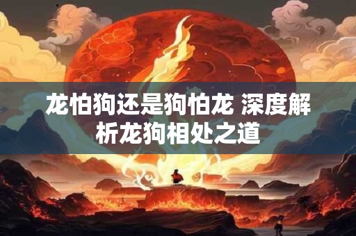 龙怕狗还是狗怕龙 深度解析龙狗相处之道
