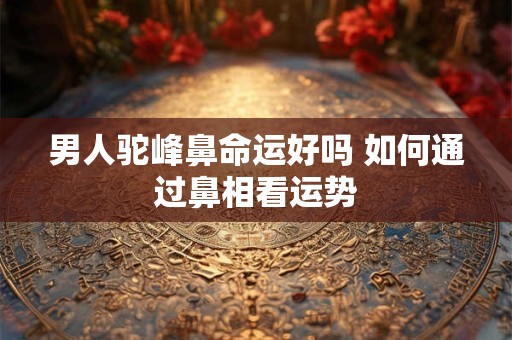 男人驼峰鼻命运好吗 如何通过鼻相看运势