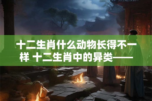 十二生肖什么动物长得不一样 十二生肖中的异类——神秘的龙