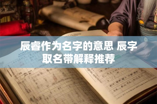 辰睿作为名字的意思 辰字取名带解释推荐
