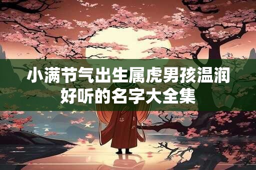 小满节气出生属虎男孩温润好听的名字大全集