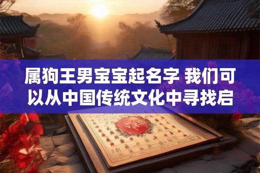 属狗王男宝宝起名字 我们可以从中国传统文化中寻找启示