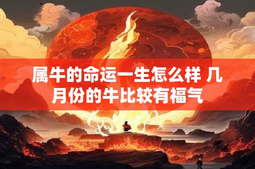 属牛的命运一生怎么样 几月份的牛比较有福气