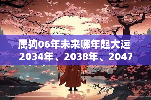 属狗06年未来哪年起大运 2034年、2038年、2047年