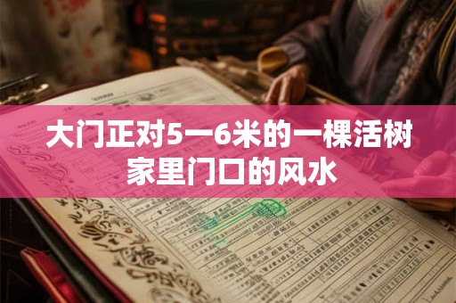 大门正对5一6米的一棵活树 家里门口的风水