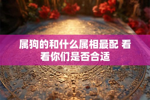 属狗的和什么属相最配 看看你们是否合适