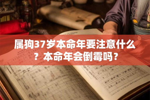 属狗37岁本命年要注意什么？本命年会倒霉吗？