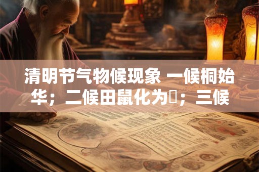 清明节气物候现象 一候桐始华；二候田鼠化为鴽；三候虹始见