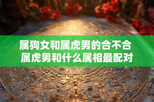 属狗女和属虎男的合不合 属虎男和什么属相最配对