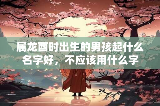 属龙酉时出生的男孩起什么名字好，不应该用什么字