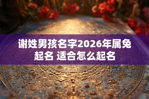 谢姓男孩名字2026年属兔起名 适合怎么起名
