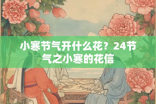小寒节气开什么花？24节气之小寒的花信