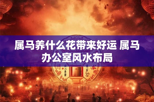 属马养什么花带来好运 属马办公室风水布局