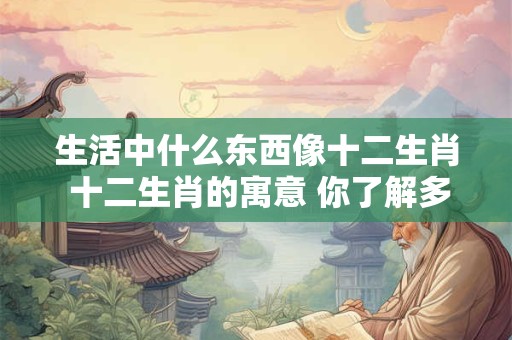 生活中什么东西像十二生肖 十二生肖的寓意 你了解多少