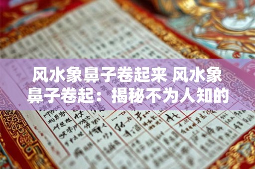 风水象鼻子卷起来 风水象鼻子卷起：揭秘不为人知的神秘现象