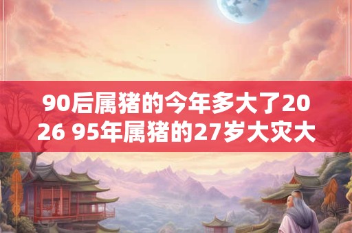 90后属猪的今年多大了2026 95年属猪的27岁大灾大难 90后属猪的今年多大了2026 95年属猪的27岁大灾大难