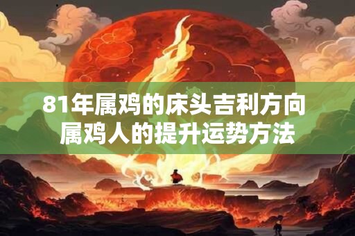 81年属鸡的床头吉利方向 属鸡人的提升运势方法