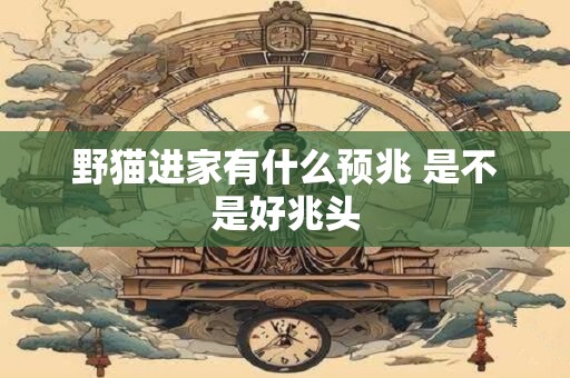 野猫进家有什么预兆 是不是好兆头