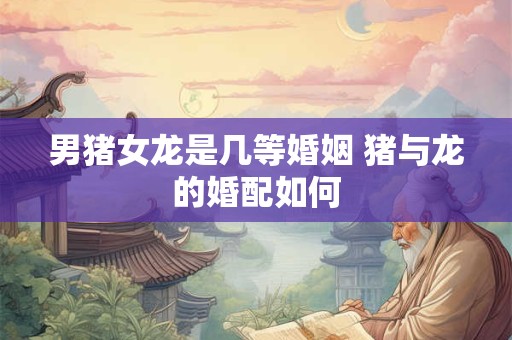 男猪女龙是几等婚姻 猪与龙的婚配如何 男猪女龙是几等婚姻 猪与龙的婚配如何