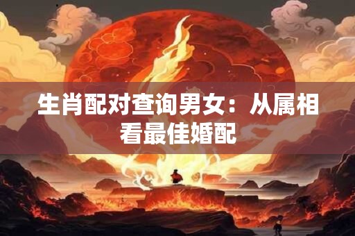 生肖配对查询男女:从属相看最佳婚配 生肖配对查询男女:从属相看最佳婚配