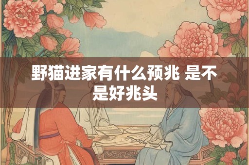 野猫进家有什么预兆 是不是好兆头 野猫进家有什么预兆 是不是好兆头