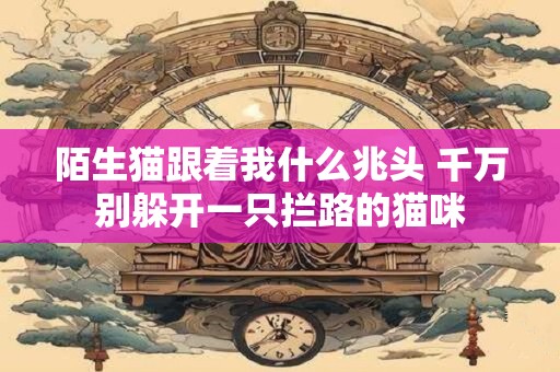 陌生猫跟着我什么兆头 千万别躲开一只拦路的猫咪 陌生猫跟着我什么兆头 千万别躲开一只拦路的猫咪