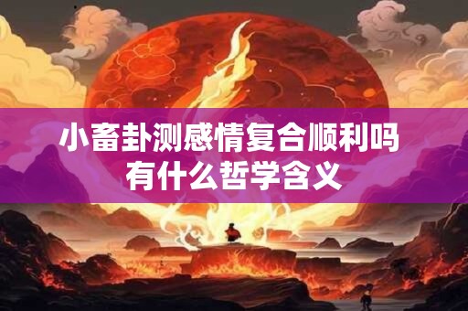 小畜卦测感情复合顺利吗 有什么哲学含义