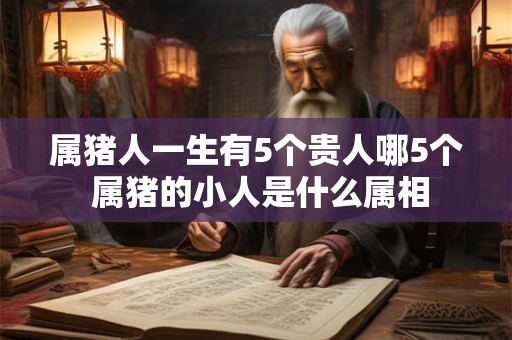 属猪人一生有5个贵人哪5个 属猪的小人是什么属相