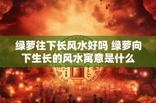 绿萝往下长风水好吗 绿萝向下生长的风水寓意是什么
