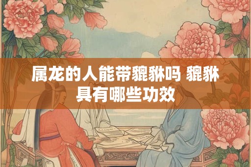 属龙的人能带貔貅吗 貔貅具有哪些功效