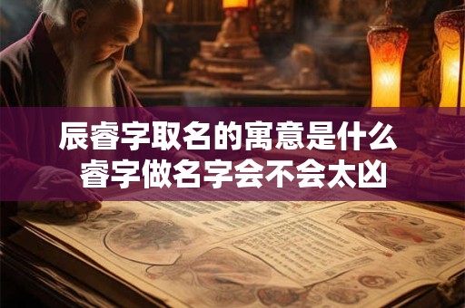 辰睿字取名的寓意是什么 睿字做名字会不会太凶