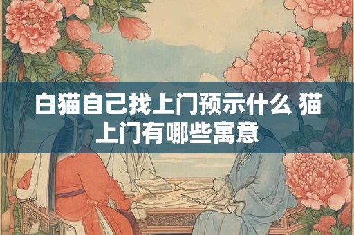 白猫自己找上门预示什么 猫上门有哪些寓意