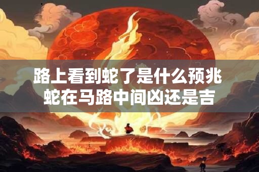 路上看到蛇了是什么预兆 蛇在马路中间凶还是吉