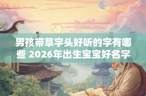 男孩带草字头好听的字有哪些 2026年出生宝宝好名字