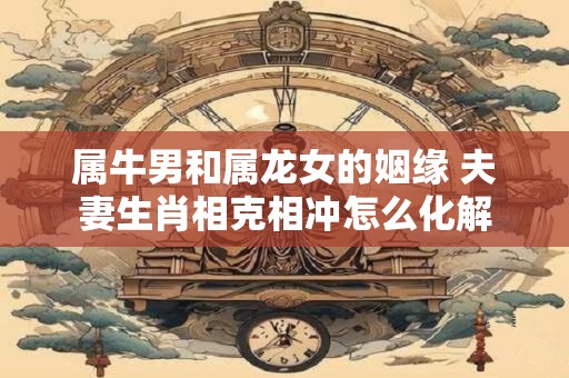 属牛男和属龙女的姻缘 夫妻生肖相克相冲怎么化解