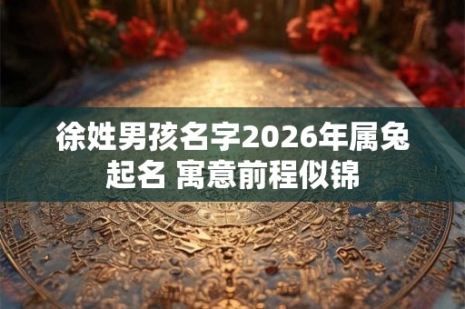 徐姓男孩名字2026年属兔起名 寓意前程似锦