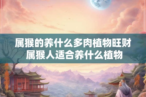 属猴的养什么多肉植物旺财 属猴人适合养什么植物 属猴的养什么多肉植物旺财 属猴人适合养什么植物