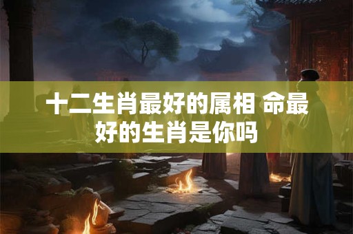十二生肖最好的属相 命最好的生肖是你吗